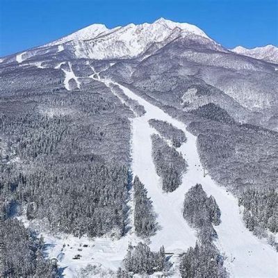 杉ノ原スキー場 天気 雲の上で踊るスキーヤーの夢